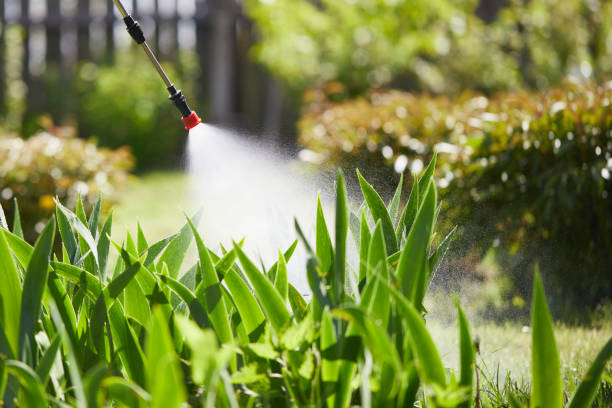 Tamper-Resistant Bait Stations for Rodents in Kilgore