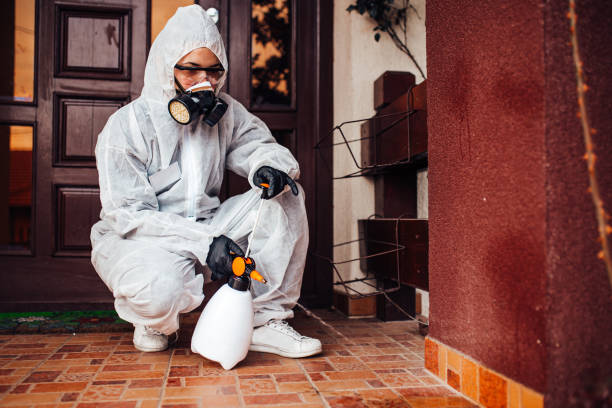 Attic and Crawl Space Rodent Treatment in Kilgore